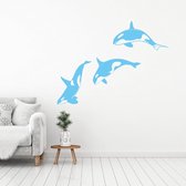 Muursticker Orka's -  Lichtblauw -  100 x 74 cm  -  woonkamer  alle muurstickers  slaapkamer  baby en kinderkamer  dieren - Muursticker4Sale