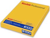 Kodak Ektachrome E100 4x5" 10 vel