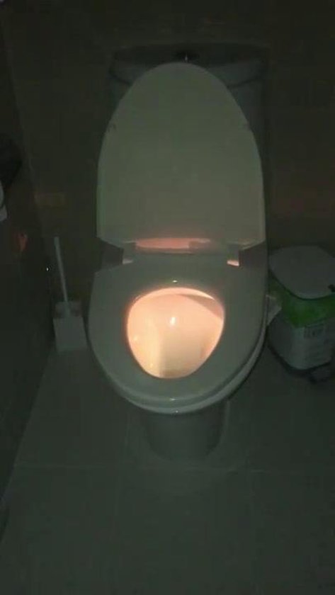 Onzuiver Renovatie behalve voor WC Nachtlamp - Toilet LED Licht - Toilet LED Lamp - Multicolor - Glow  Toilet - Toilet... | bol.com