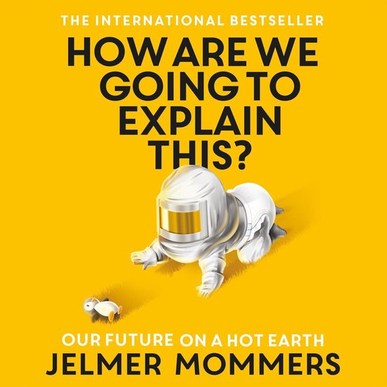 Boek cover How Are We Going to Explain This van Jelmer Mommers (Onbekend)
