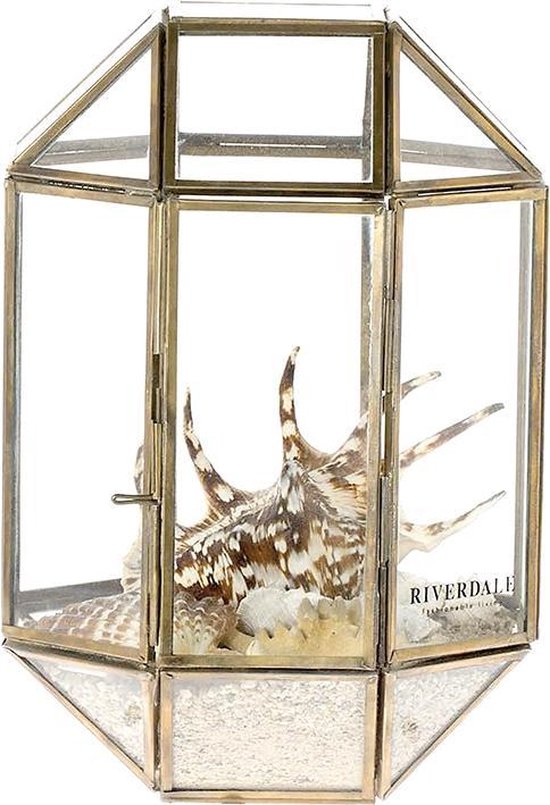 Riverdale Belton - Terrarium box - 26cm - goud | bol.com