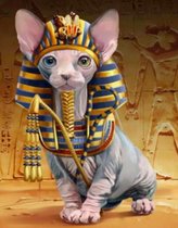 Peinture au diamant - Beau chat nu "Sfynx" dans l'Egypte ancienne - 30x40 cm - Couverture complète / Pierres carrées - Comprend des outils