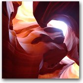 Dibond 50 x 50 cm Nature Photography.