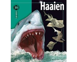 Insiders - Haaien