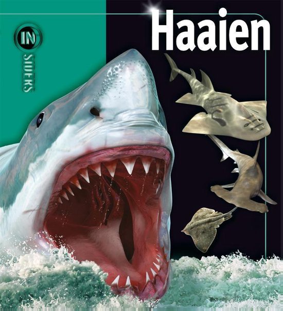 Insiders  -   Haaien