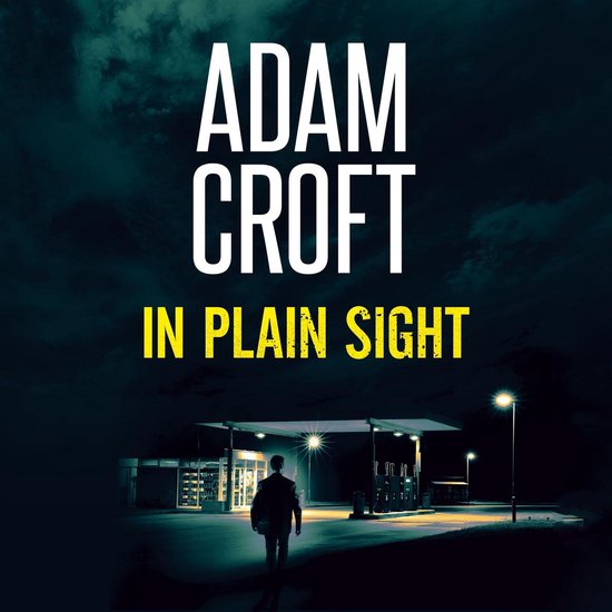 In Plain Sight - cover