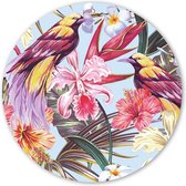 Wooncirkel - Kleurrijke vogels (⌀ 40cm)