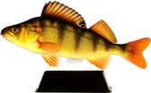 Vistrofee Real Fish Baars 23 cm Prijs Roofvis Wedstrijd Viswedstrijd Visprijs Wedstrijdprijzen Vis