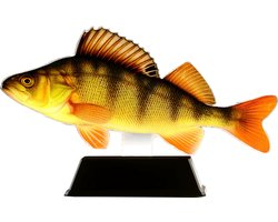 Vistrofee Real Fish Baars 23 cm Prijs Roofvis Wedstrijd Viswedstrijd Visprijs Wedstrijdprijzen Vis