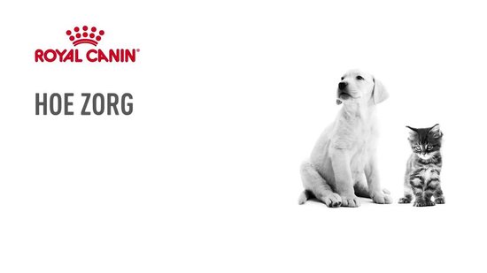 grafisch Afstoten bouwer Royal Canin Giant Puppy 15 KG | bol.com