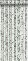 Papier peint intissé HD troncs d'arbres de bouleau vert menthe pastel clair et gris chaud - 138890 de ESTAhome