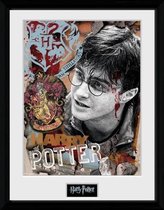 HARRY POTTER Collector Prints