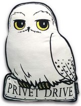 HARRY POTTER - Coussin - Hedwig