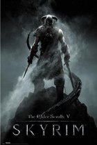 GBeye Poster - Skyrim Dragonborn - 91.5 X 61 Cm - Multicolor