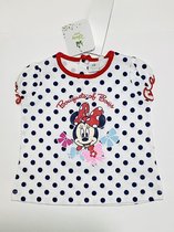 Disney Minnie Mouse t-shirt - polkadots - wit/blauw - maat 74 (12 maanden)