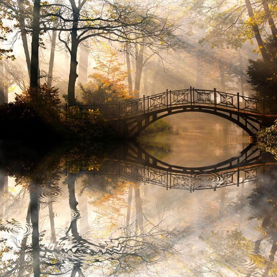 Foto: 100 nederlandse productie diamond painting brug in het park herfst formaat 50 x 50 cm diamond painting pakket volwassen volledige bedekking vierkant full flitzz diamond painting