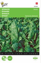 Buzzy zaden - Spinazie Nores 25 g - Spinacia oleracea