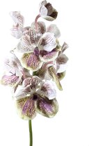 Viv! Home Luxuries Orchidee Vanda - zijden bloem - wit groen paars - 65cm - topkwaliteit