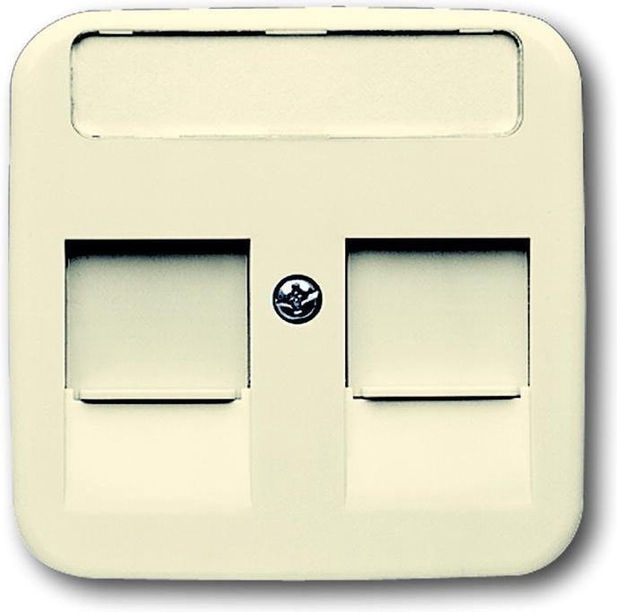 Busch-Jaeger Busch-duro 2000 SI centraalplaat voor 2 Modular Jack connectors met schuifje en tekstveld, crèmewit
