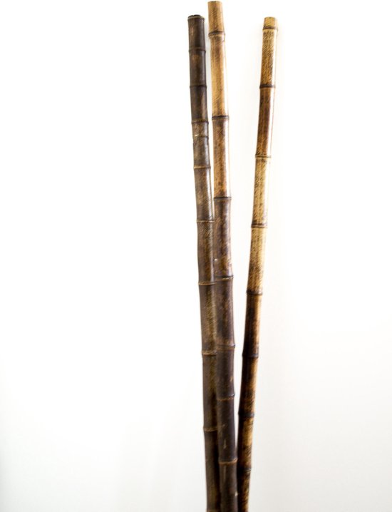 Decoratie Bamboe stokken - 100 cm - 3 stuks | bol.com