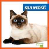 Siamese