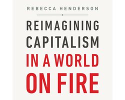 Reimagining Capitalism in a World on Fire