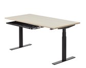 Zit sta bureau | 120 x 80 cm | Lindberg - Zwart | elektrisch