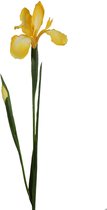 Viv! Home Luxuries Iris - zijden bloem - geel - topkwaliteit