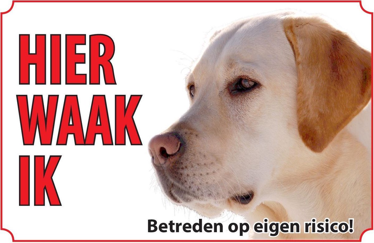 Bord Hond Labrador bruin