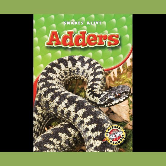 Adders - cover