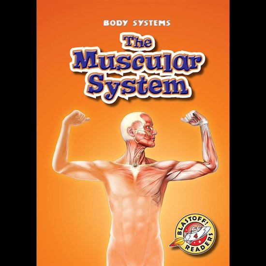 The Muscular System - cover