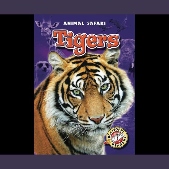 Tigers - cover
