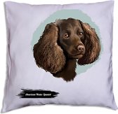 American Water Spaniel pillow 40 x 40cm