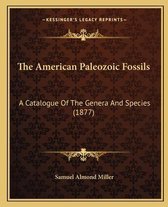 The American Paleozoic Fossils