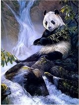 Diamond Painting 52x42cm - Panda - Rond - Volledig Diamant Schilderen Hobby - Compleet Diamond Painting Pakket