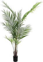 Europalms kunstplant - Areca kunstpalm met grote bladeren - 165cm