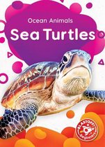 Sea Turtles