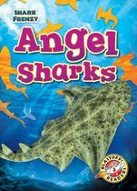 Shark Frenzy- Angel Sharks