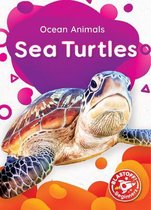 Ocean Animals- Sea Turtles