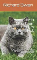 British Shorthair Cat As Pet