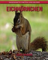 Eichhoernchen