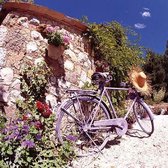 Ambiente Bike in Provence papieren servetten