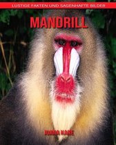 Mandrill