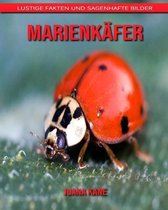 Marienkafer