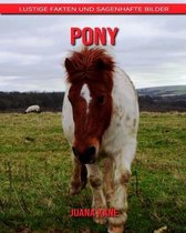 Pony