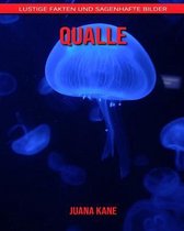 Qualle