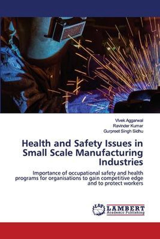 Health and Safety Issues in Small Scale Manufacturing Industries, Vivek