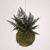 Onderhoudsvrije Kokedama - moskleur: Moss Green - afm. 13 cm - groene varen