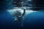 Swimming elephant 150 x 100  - Dibond