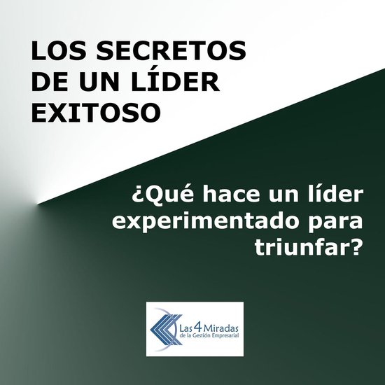 Los secretos de un líder exitoso - cover